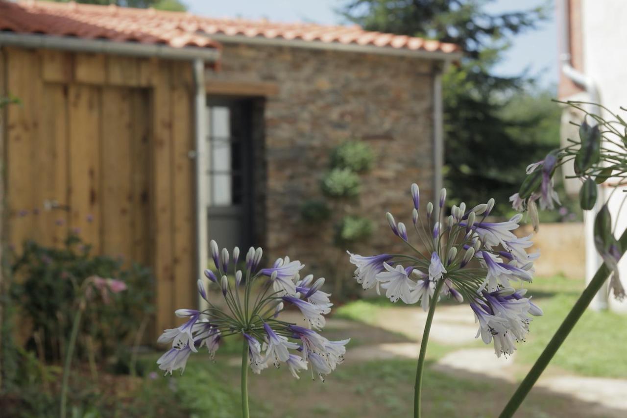 Appartamento La Demoiselle De Bohardy Montrevault Esterno foto